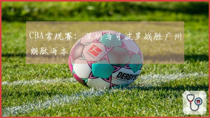 CBA常规赛：深圳马可波罗战胜广州朗肽海本